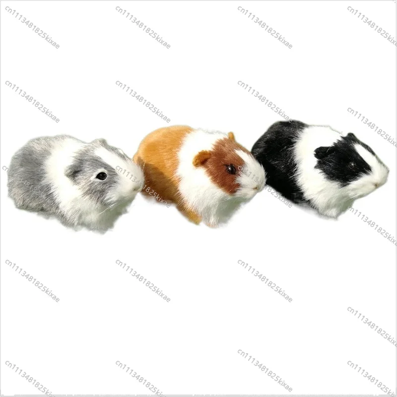 For Teaching Mold Animal Student Cognition Animal Model Animal Simulation Guinea Pig Hamster Guinea Pig Sunflower Rat
