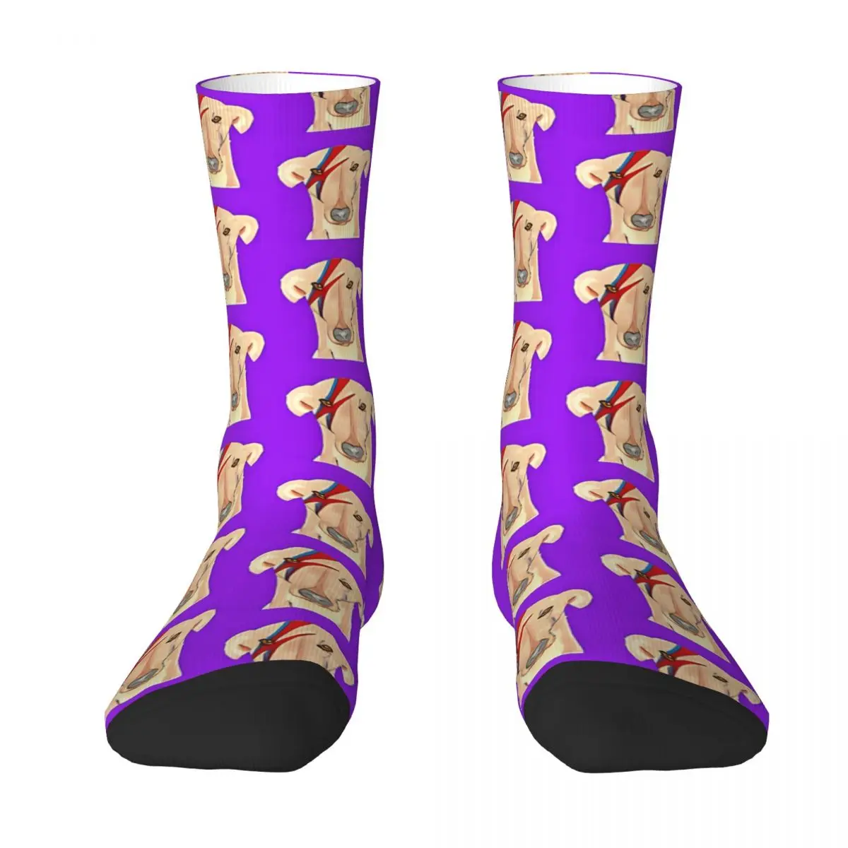 Ziggy Stardog Purple Geryhound Greyhounds Dog Socks Shopping 3D Print Boy Girls Mid-calf Sock