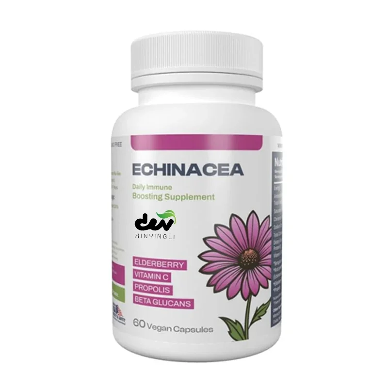 Pinecone chrysanthemum immune support supplement, infused with elderberry, vitamin C, propolis, and β - glucan