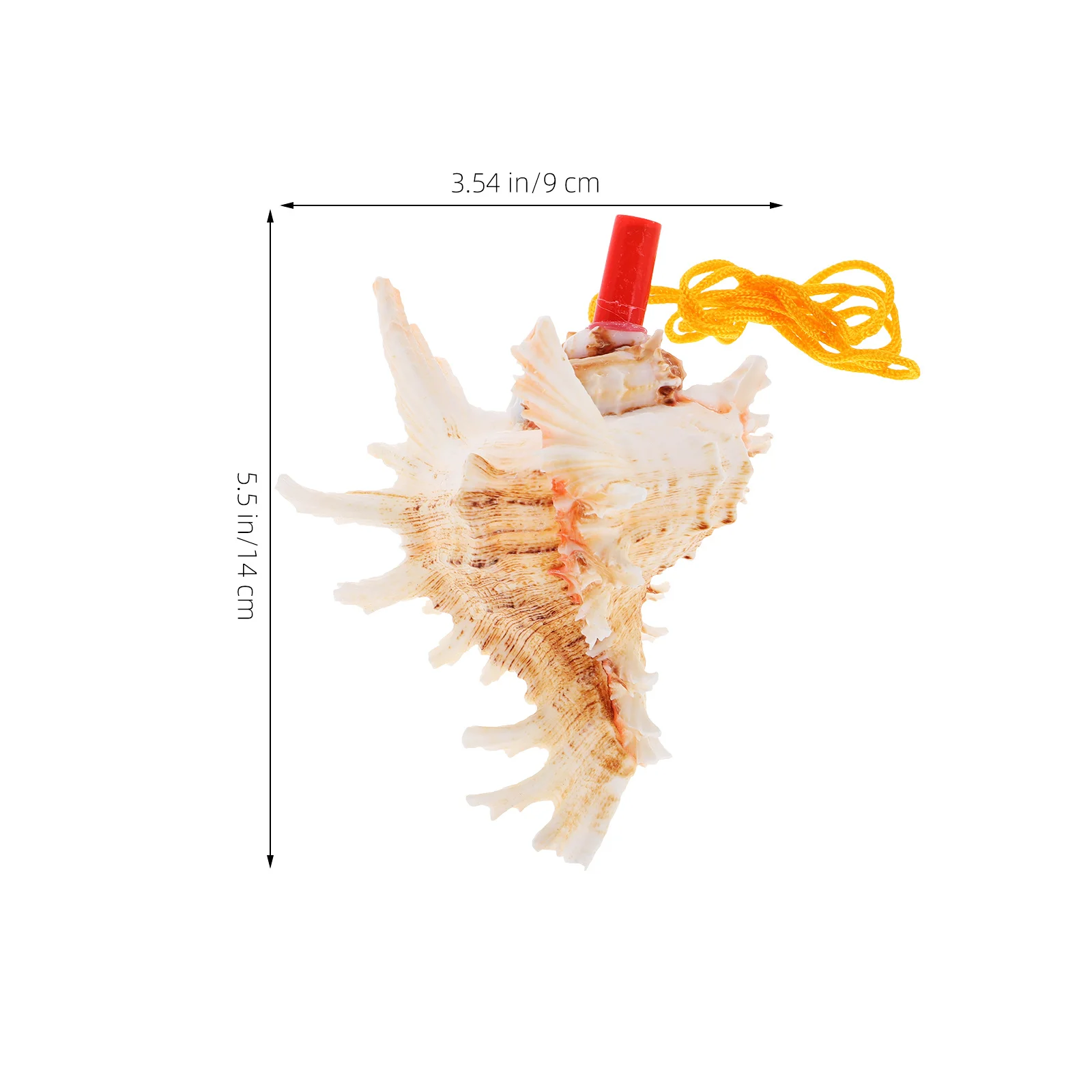 البحر الطبيعي محارة القرن صافرة متعددة لهجة صوت واضح الكبار لعب السفر السياحة حفلة تفضل أداة عزف موسيقى قذيفة كبيرة #3