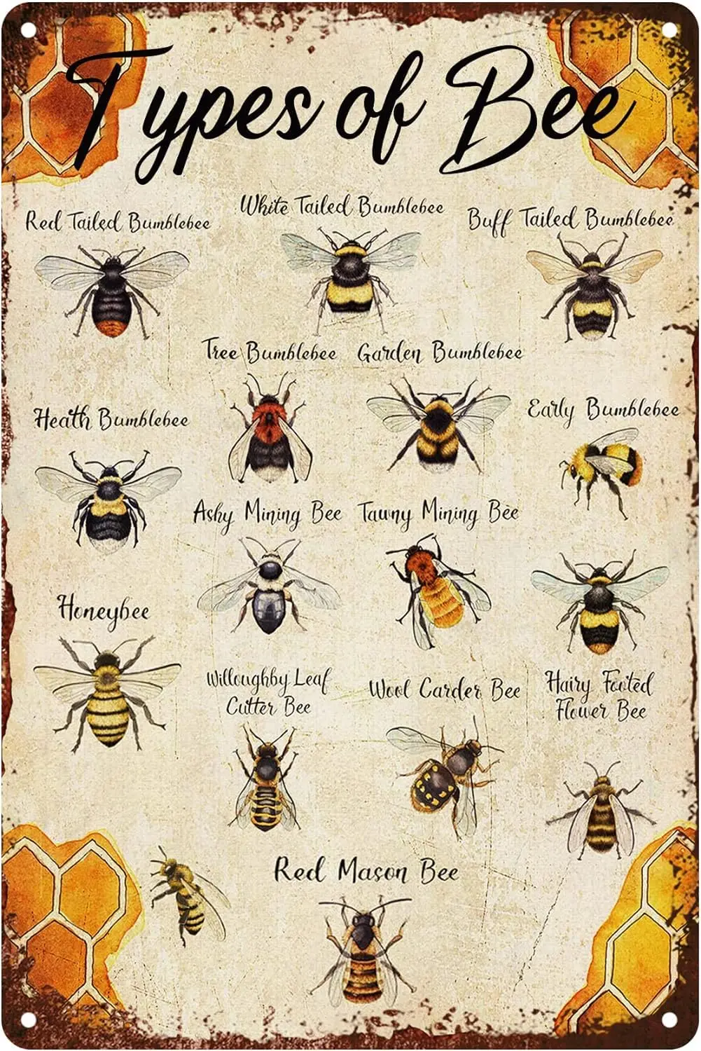 Lustiges Biene-Blechschild, lustige Arten von Bienen, Metall-Blechschilder, Wandkunst, perfekt für Zuhause, Bauernhof, Outdoor, Bauernhaus, rustikale Küche, schöne Vin