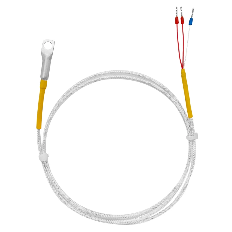 

6Mm aperture PT100 temperature sensor Probee high temperature waterproof stainless steel