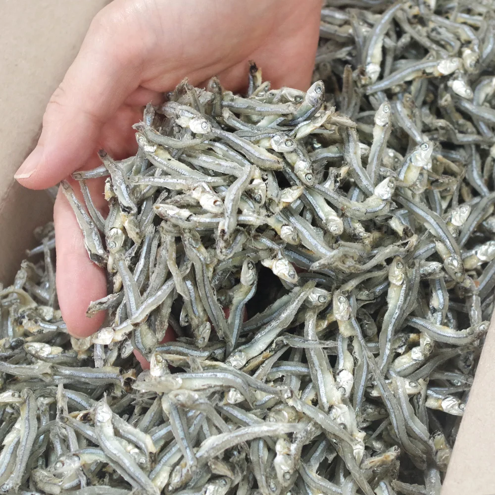 ๊ฐ์ด๋ฆฌ๋ฉธ์น 1.5kg