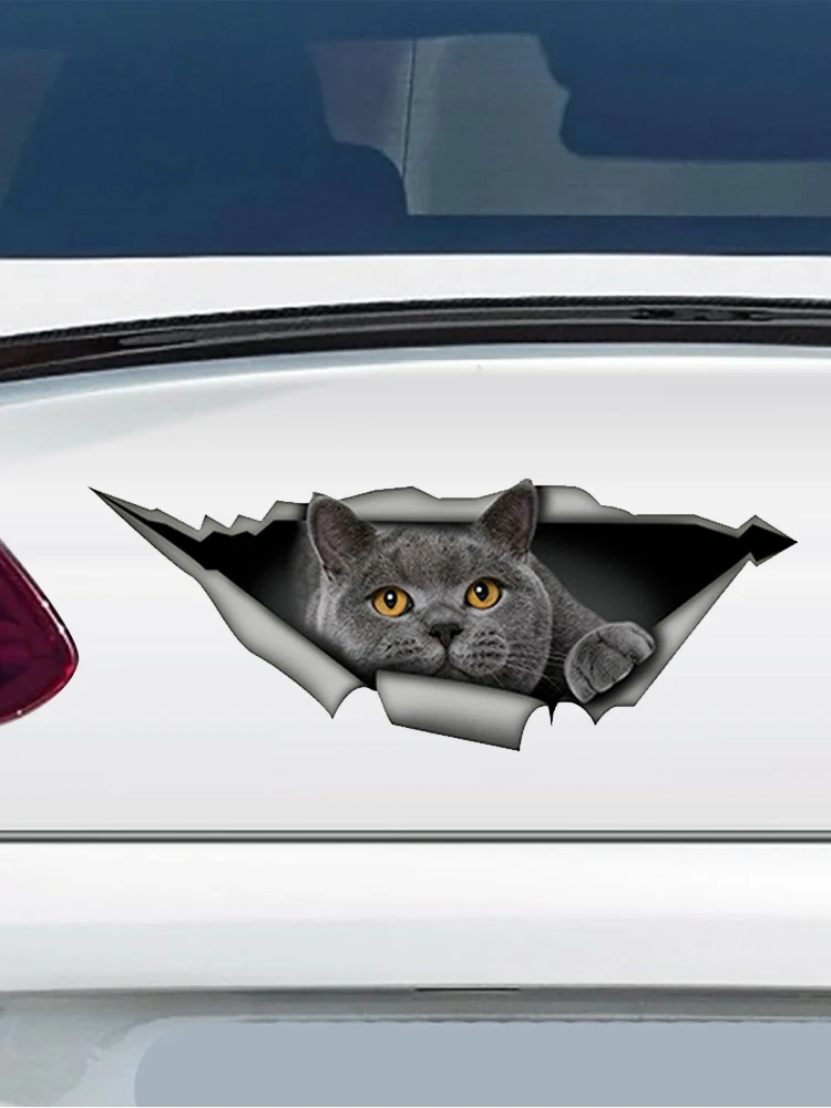 V123# Car Sticker British Shorthair Gray Waterproof Vinyl Decal Car Accessories Pegatinas Para Coche DIY Car Styling