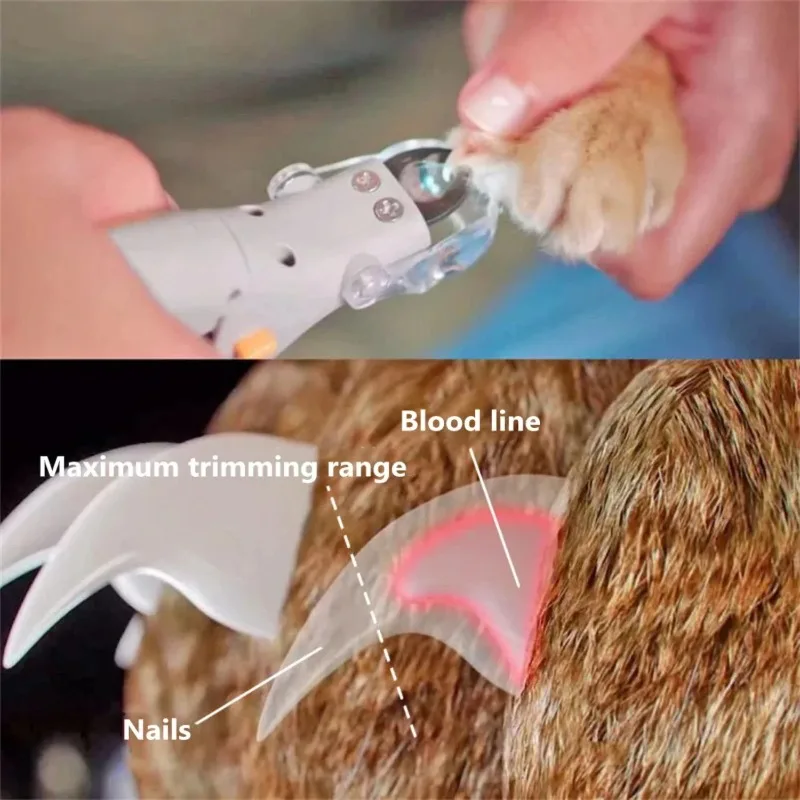 1PC Pet Nail Clipper with LED Light Dog Cat Special Nail Clipper Multifunction Nail Trimmer Pet Cleaning Grooming Supplies view 4