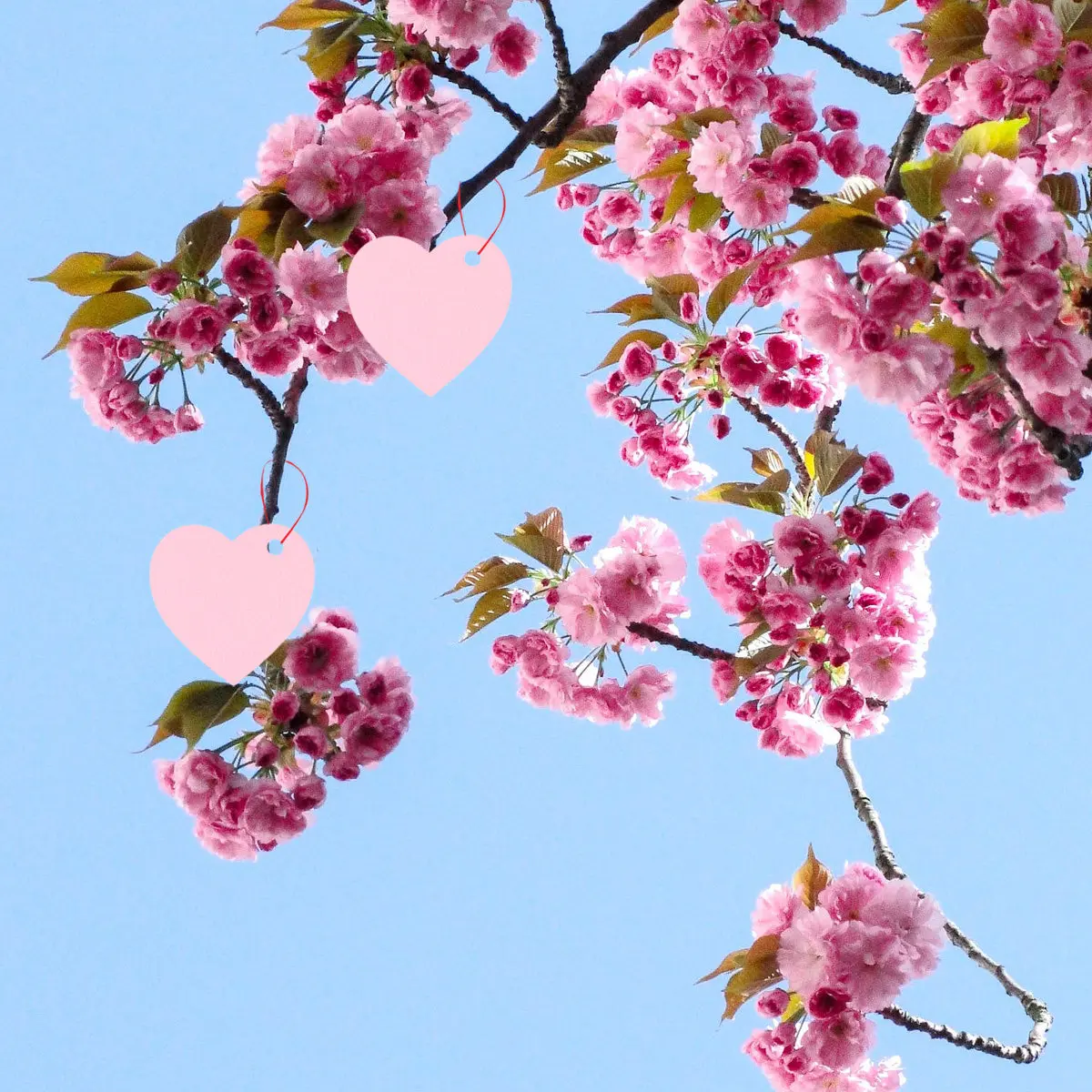 

100 шт. Подвесные подарочные бирки в форме сердца, бумажные карточки для пожеланий на День святого Валентина, Рождество, для вечеринок, кондитерских, свадебного декора