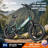 PULUMA T5S Adult Electric Bike 250W/750W 48V 15AH 25KM/H Pedal Assist Bicycle Women and Men Electric Bike 20*4.0 Fat Tire Ebike