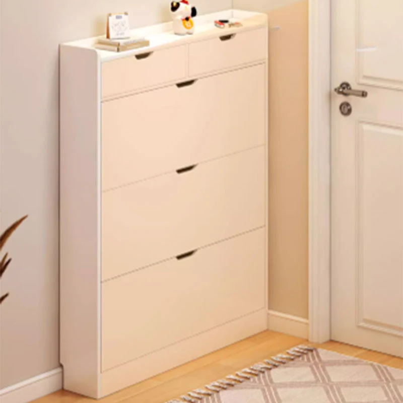 Organizer Men Shoe Racks Organizer Shelf Cabinets Shelves Shoe Racks Mobile Ultra Thin Rangement Chaussure Home Furniture image 4