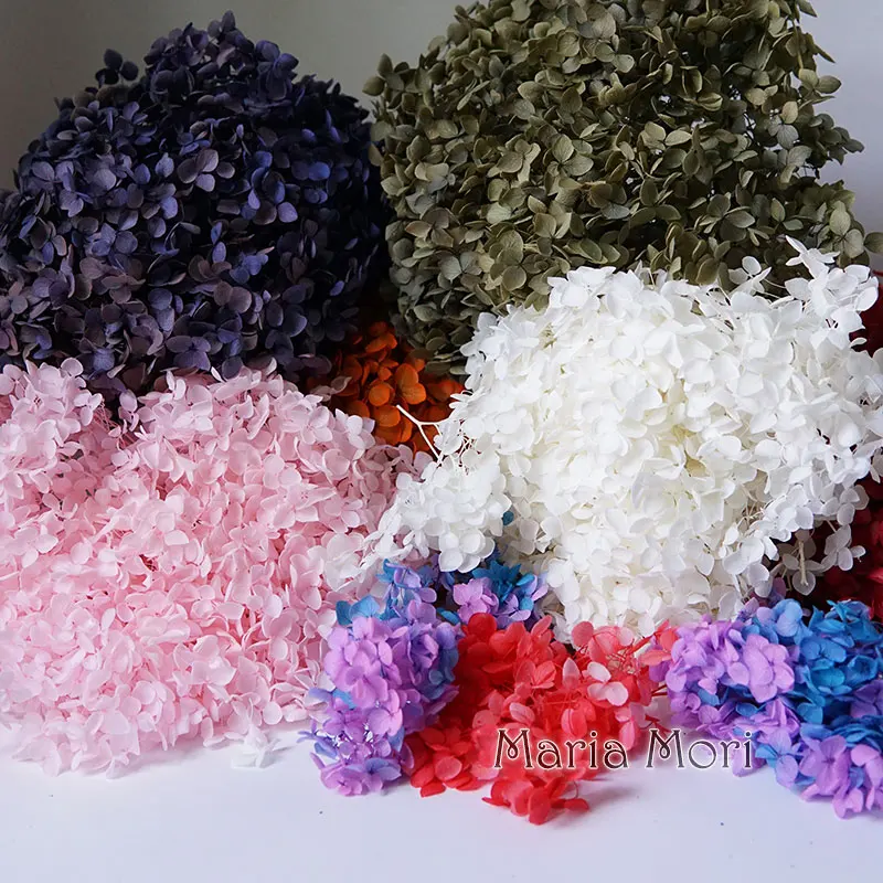 #14 Trending Dried Flowers Right Now