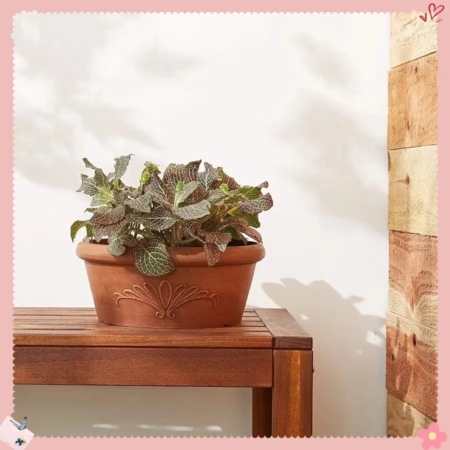 

Terracotta Planter 10 Inch Drillable Pot | for Succulents Bonsai Herbs Indoor Outdoor Gardening