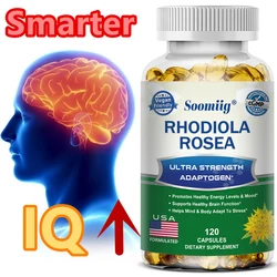 Rhodiola Rosea Capsules - Healthy Brain Function and Memory, High Strength Rhodiola Rosea Supplement, Non-GMO, Gluten-Free