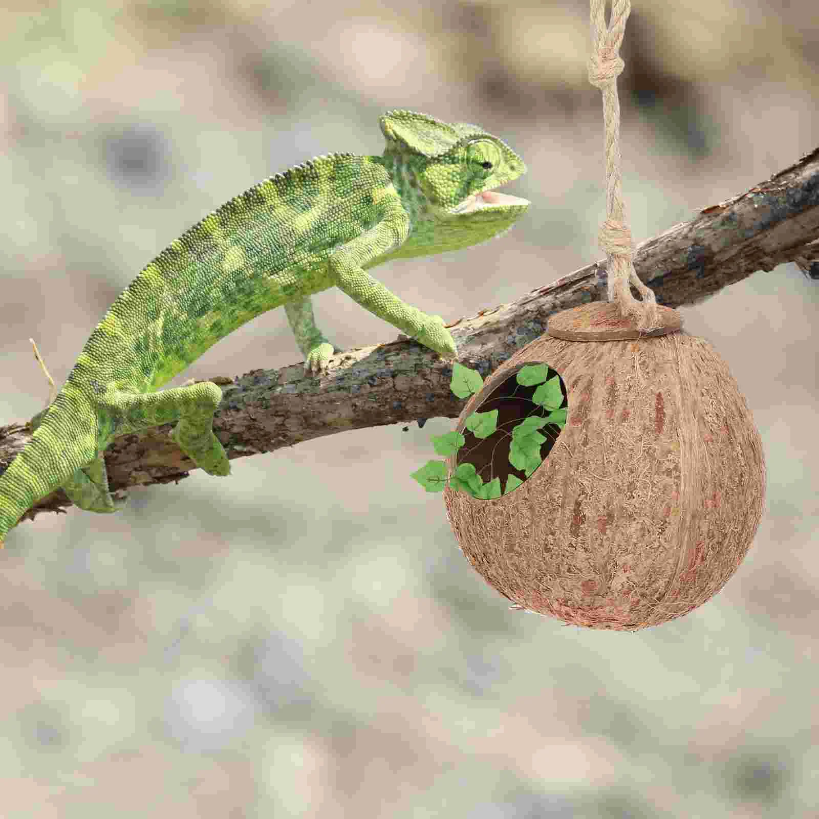 Climbing Pet Coconut Shell Nest Hanging Hide Villa Reptiles House Lizard Sleeping Bed Supply Hideout Hut Toys