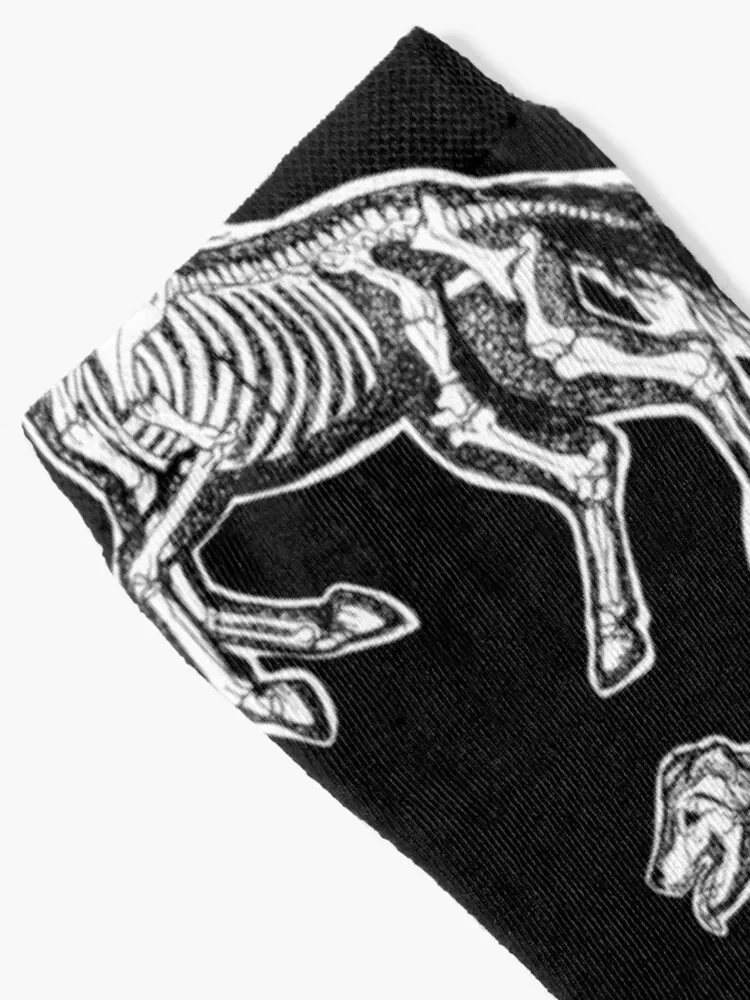 Veterinary Technician :: X-ray Animal Bones Anatomy Socks luxury crazy ankle hockey Boy Socks Women's