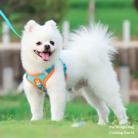 애완 동물 스웨이드 가슴 하네스 조끼 개 스트랩 반사 가죽 끈은 작고 가볍고 편리하게 개폐식입니다.