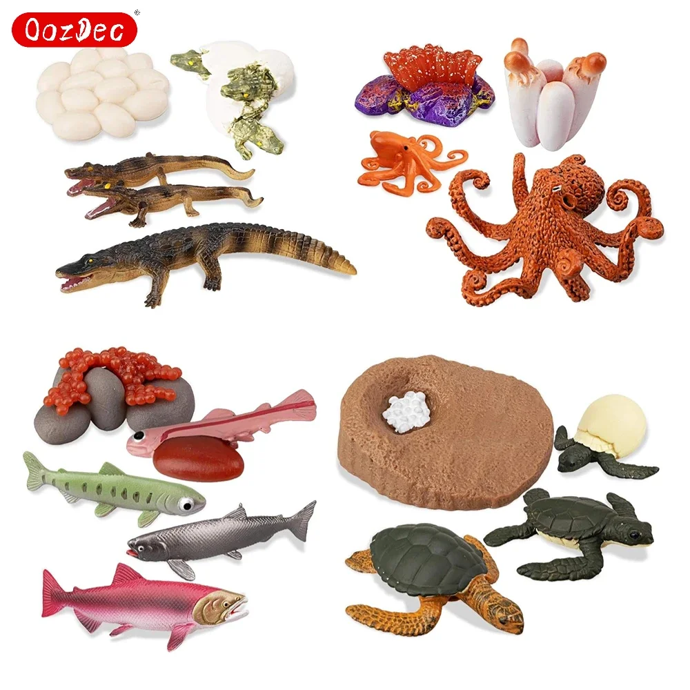 OozDec 17PCS Sea Animal Life Cycle Figurines of Green Sea Turtle Crocodile Octopus Salmon Fish, Plastic Marine Figures Toy Kit