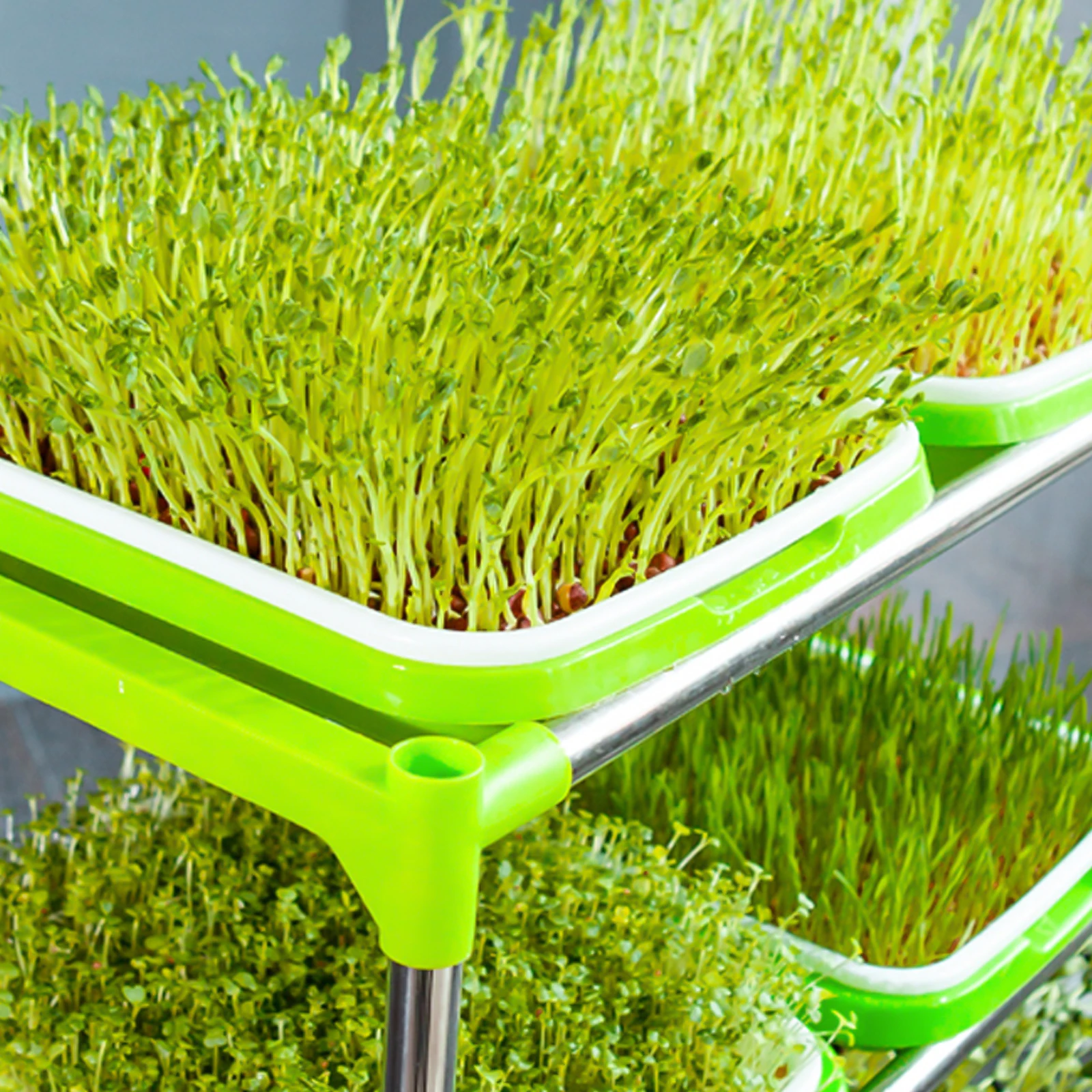 

2 Sets Seedling Tray Durable Plastic Raw Material Reusable Hydroponic Pot Vegetable Planting Box Germination Tray Cat Grass