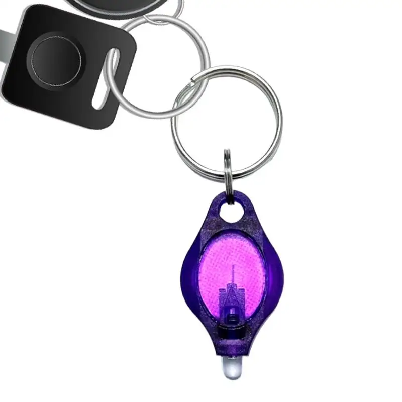 LED Keychain Flashlight UV Light Keychain Portable Detector Mini Popular Lighting Lamp For Child Schoolbag Backpack Home