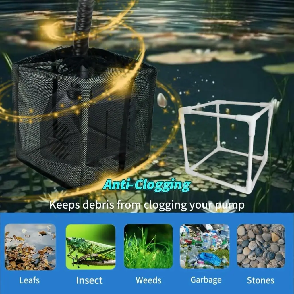 Thumbnail 2 - #40 Ponds Ranking List in 2026