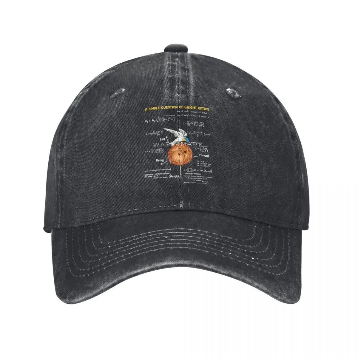

Monty Python, One Simple Question, Math Teacher, Geek Culture denim Hat Durable for All Seasons Hats Woman Women's Baseball Cap