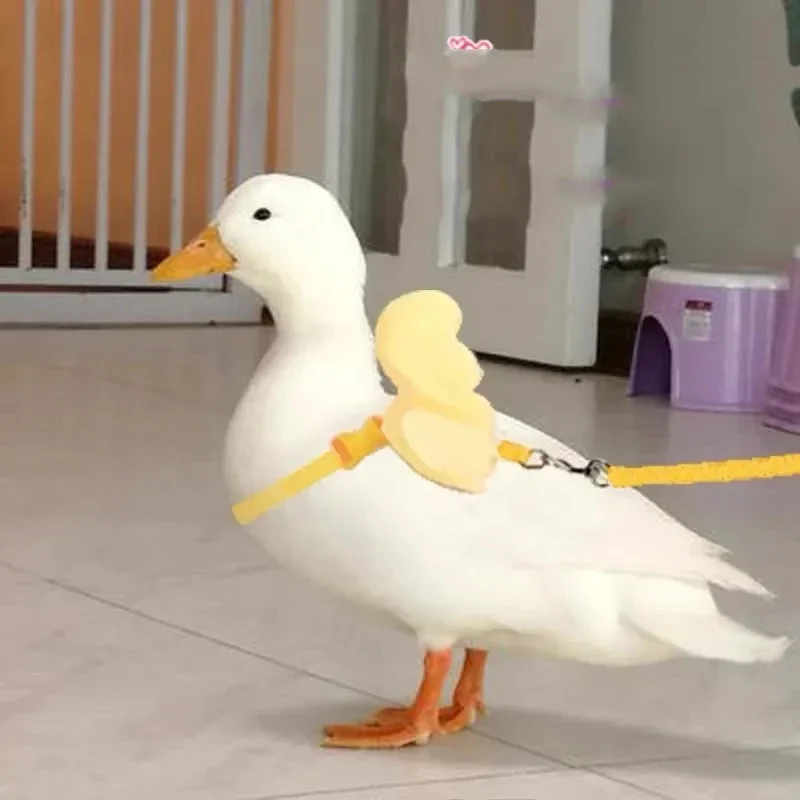 Adjustable Duck Little Angel Wings Harness Chest Strap Leash Set Traction Rope Chicken Goose Breast Strap Outdoor Pet Supplies