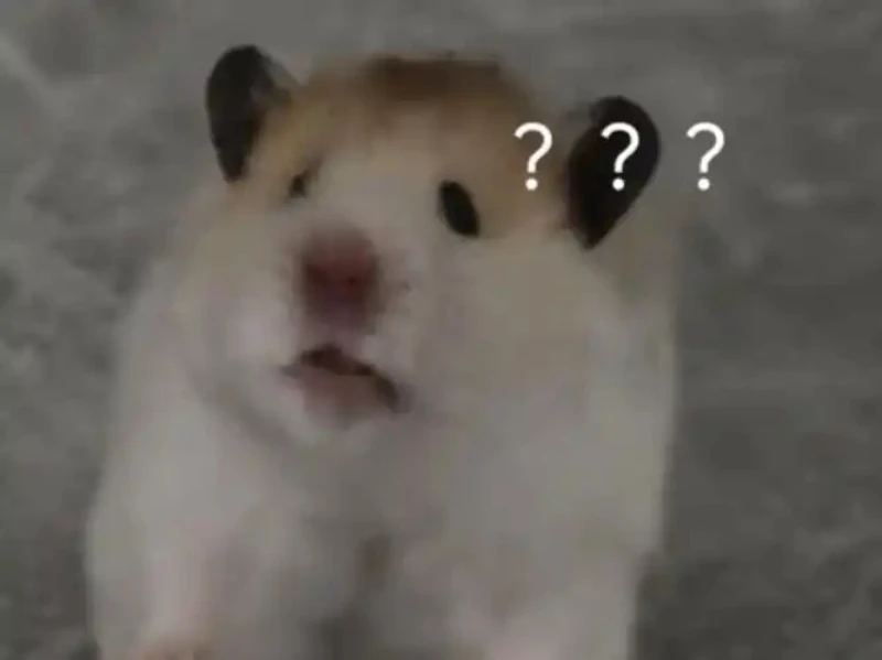 

Vinyl Decal Car Sticker Waterproof Auto Decors on Motorcycle Bumper Rear Window