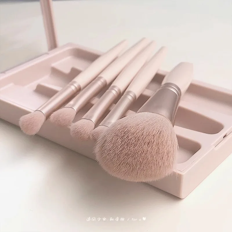 5-teiliges Mini-Make-up-Pinsel-Set, Halterbox mit klarem Spiegel, weichen Borsten, Kosmetikpinsel-Set