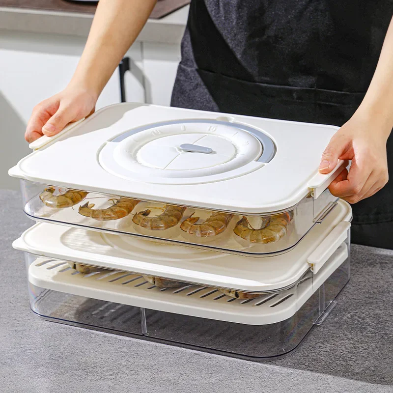 Refrigerator Storage Box Classification Food Grade Fresh-keeping Box Multi Functional Portable Frozen Dumpling Box Refrigeration