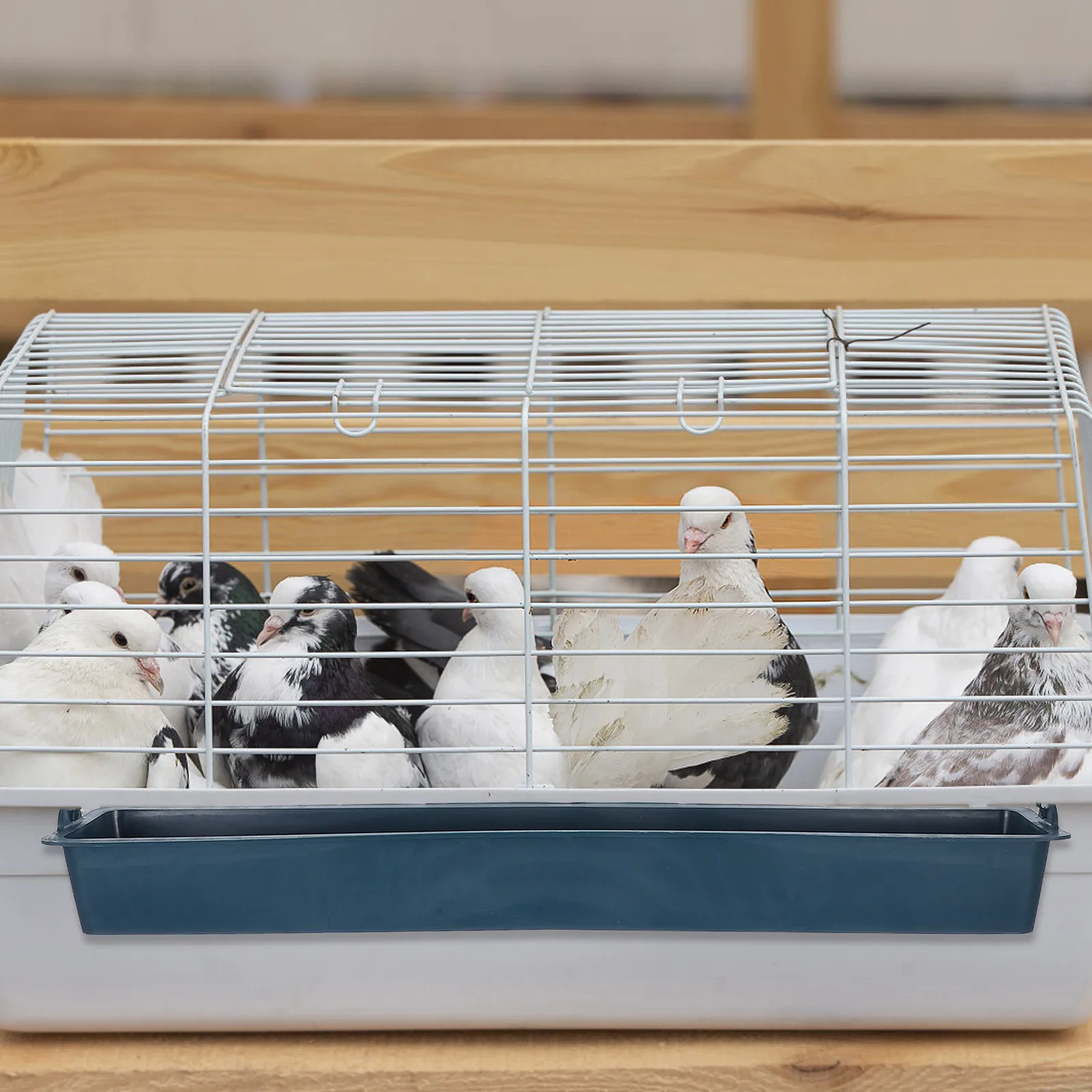 

3pcs Anti-Spreading Trough Chicken Hanging Plastic Cage No Waste Feed Basin For Poultry Birds Durable Space Saving Cage