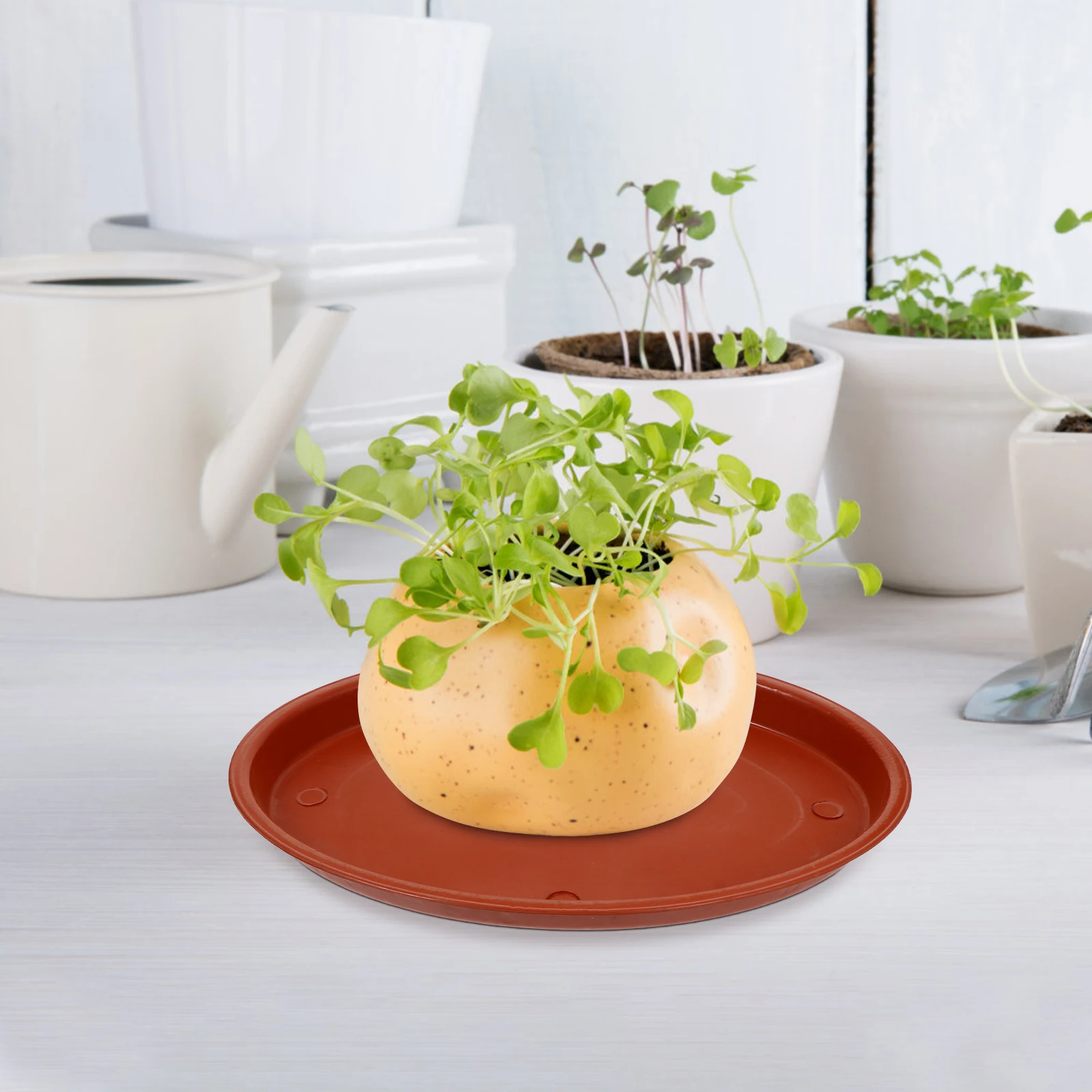 

5pcs Plastic Flowerpot Base Trays Resin Plant Pot Water Tray Oval Durable Red Garden Tool Accessory