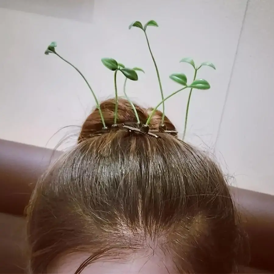 1/5/10/20/50/100pcs Budding Fun Plant Hair Clip Set Small Fresh Grass Sprout Bean Seedling Creative Styling Natural Wind Ins Sty