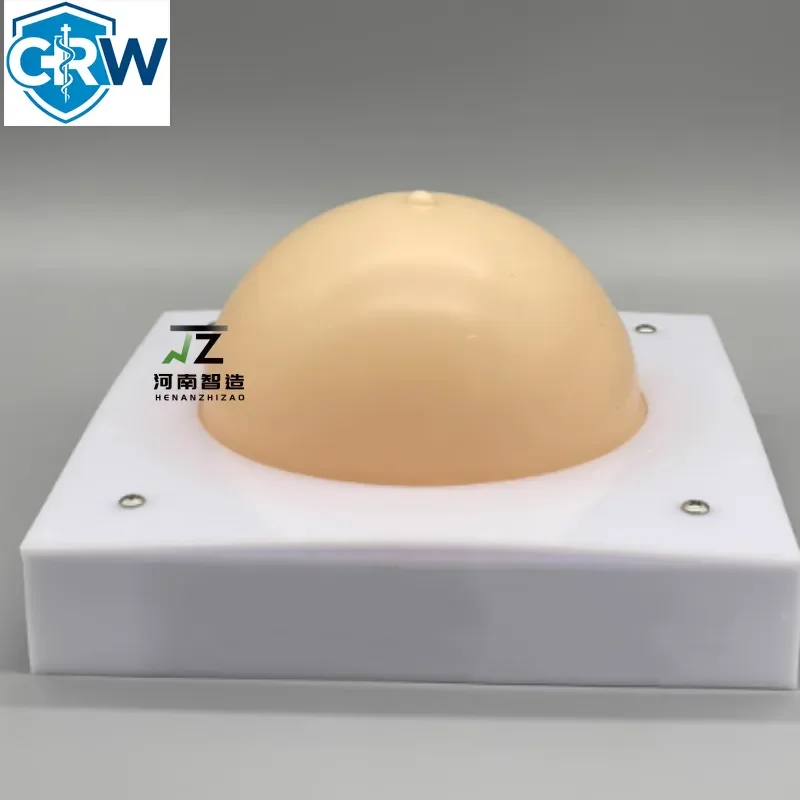 CRW Bestselling New Ultrasound-guided Puncture Model Breast B-ultrasound Interventional Teaching Training with Tumor