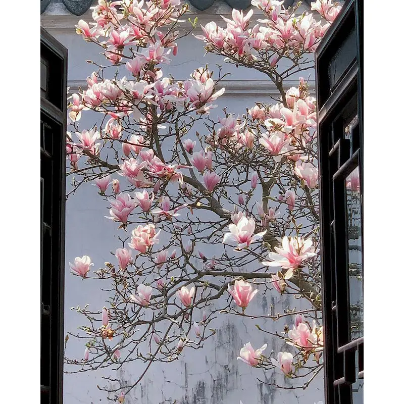 

GATYZTORY Oil Painting By Numbers For Handicrafts Peach Blossoms Landscape Number Painting Home Decors Acrylic Paints For Adults