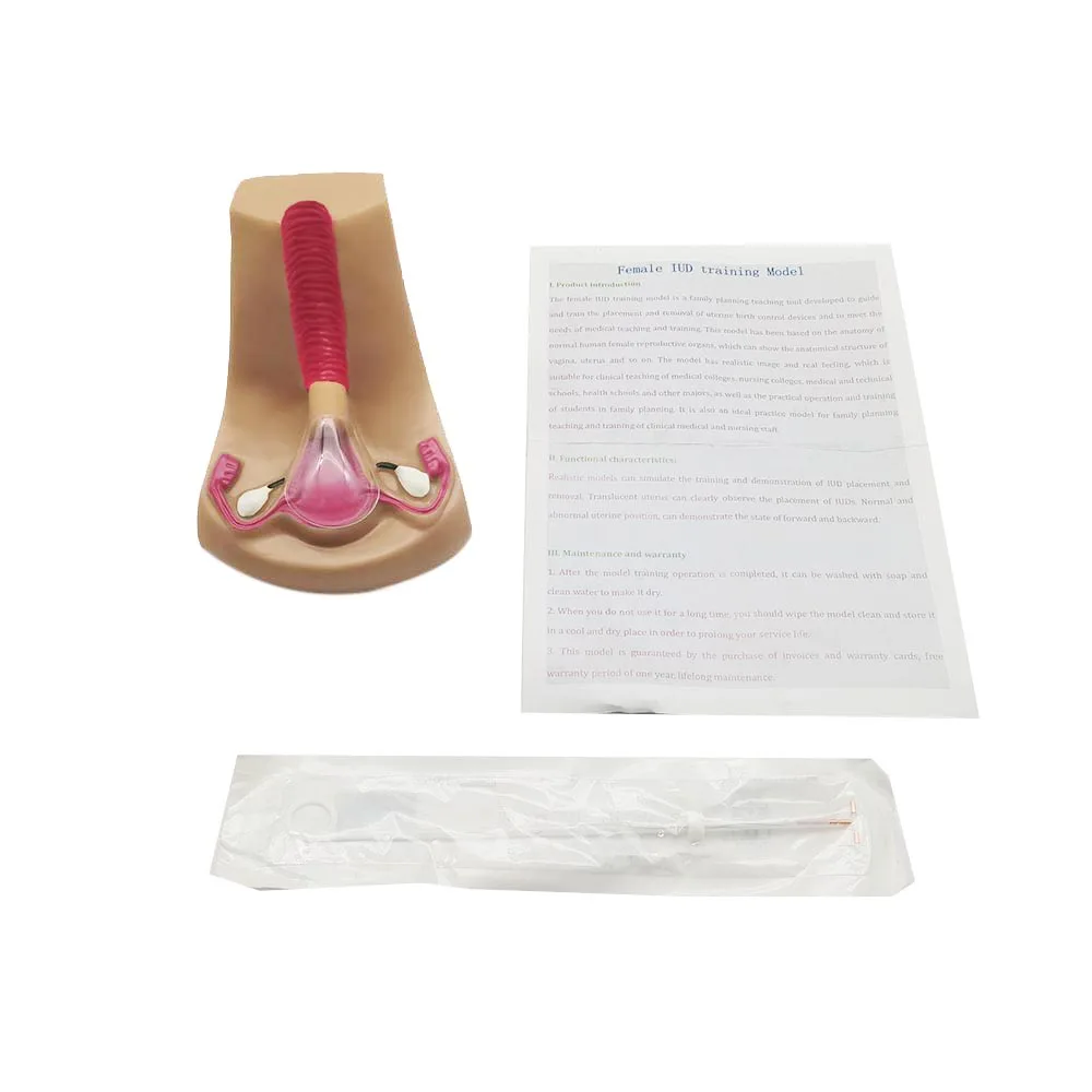 نموذج جهاز منع الحمل داخل الرحم للإناث ، محاكي تدريب اللولب العلامة التجارية الجديدة #6