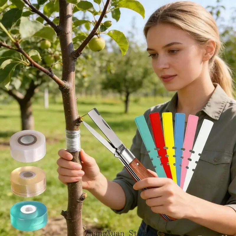 Fachmännisch gefertigte Pflanzenveredelungskollektion, geeignet für verschiedene Gartenarbeiten 3XUF – Detail 3