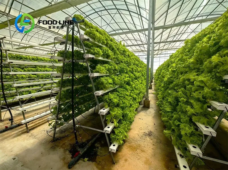 For Hydroponic Container Farm System Intelligent Controller Aeroponic/Aquaponic/Drip Irrigation for Microgreens Leafy