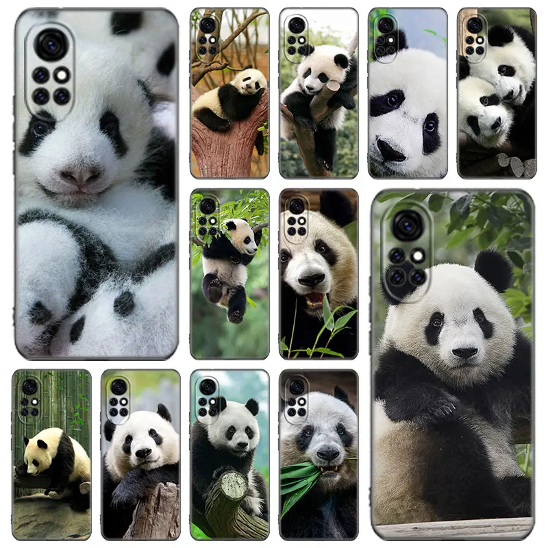 Cute Chinese Panda Animal Phone Case For Huawei Honor 60 50 SE 30S Mate 30 20 10 Lite 40 Nova 9 8 Pro Y60 8i 7i 7SE 5T Premium