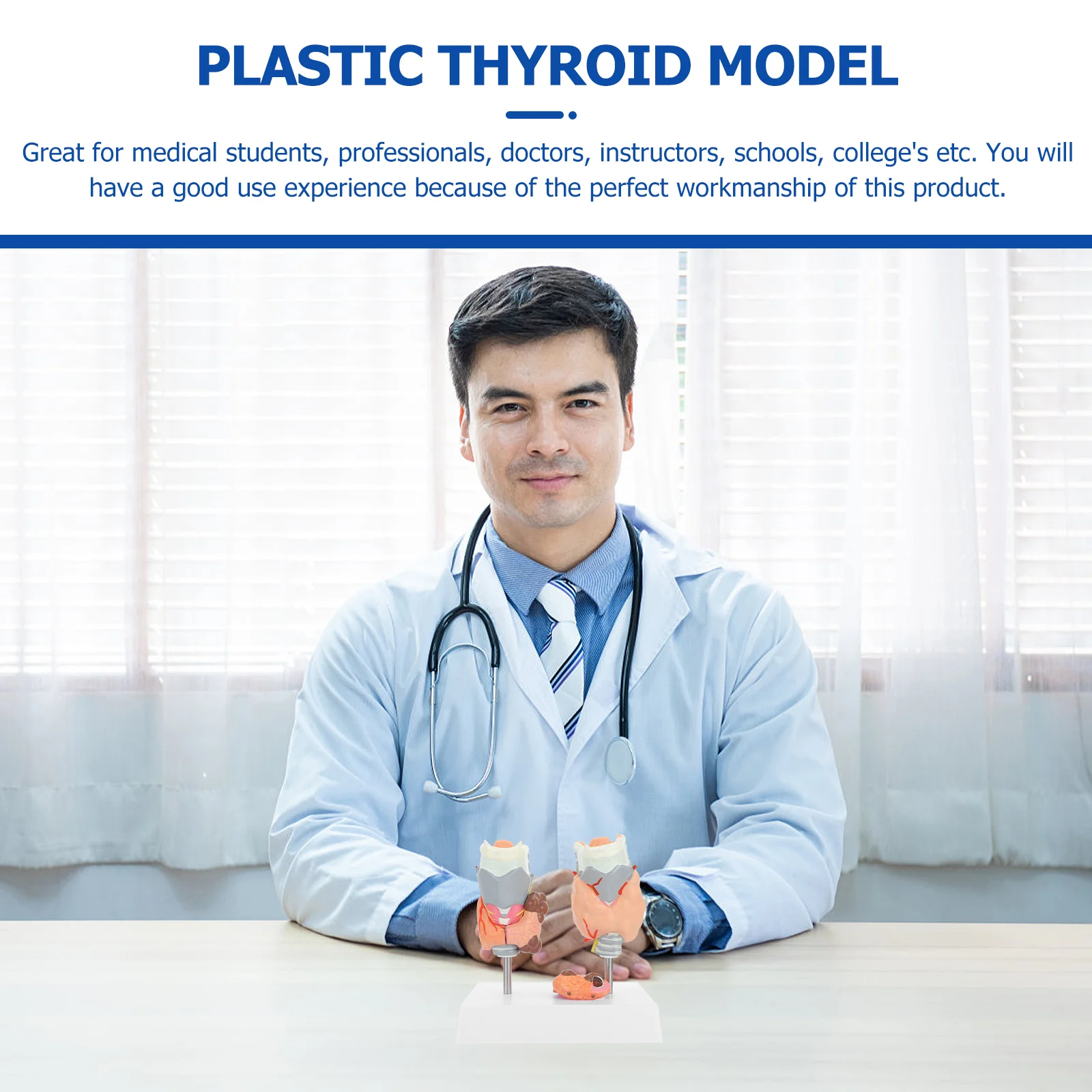Model Patologi Tiroid Model Pengajaran Model Anatomi Model Sistem Endokrin Model Patologi Plastik Model Tiroid Plastik