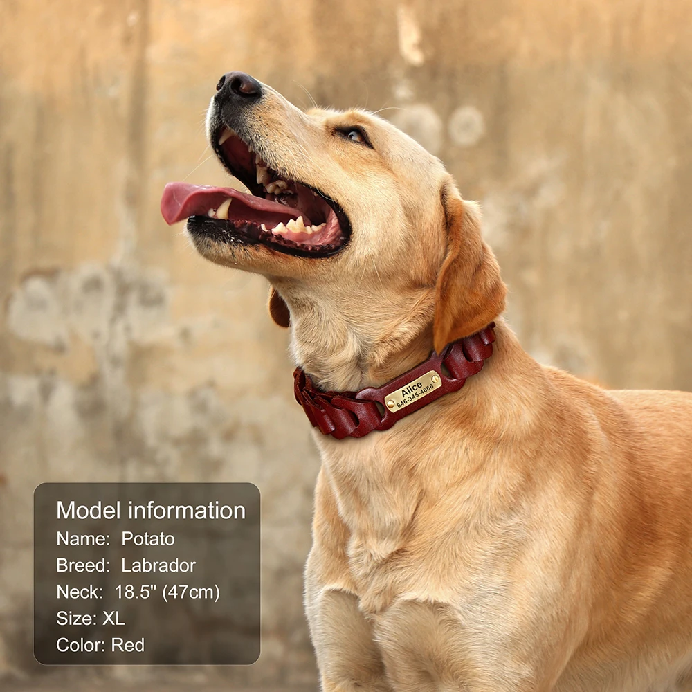 Echtes Leder Hund Kragen Nach Leder Medium Large Hund Halsbänder Personalisierte Pet ID Halsbänder für Hunde Pitbull Gravieren Name – Detail 11