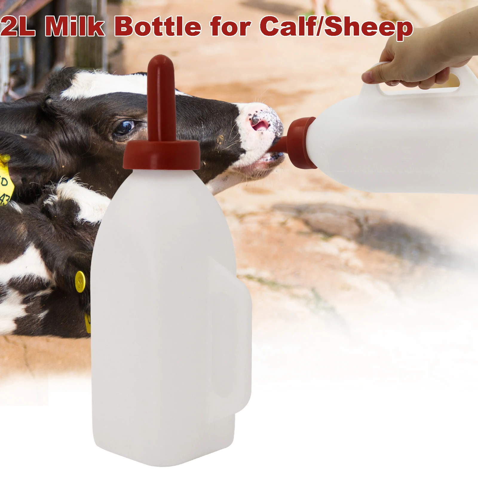 Bouteille d'alimentation pour lait de veau avec tétine, porte-bouteille pour lait de mouton, alimentation de traite, buveur de remplacement, outils d'alimentation pour le bétail