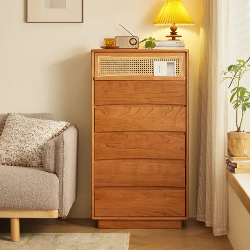 توفير مساحة خزانة للغرفة المعيشة المدمجة الضيقة الحديثة خزانة للغرفة المعيشة تصميم تماما أثاث المنزل Lagerregal XY40GZ #1