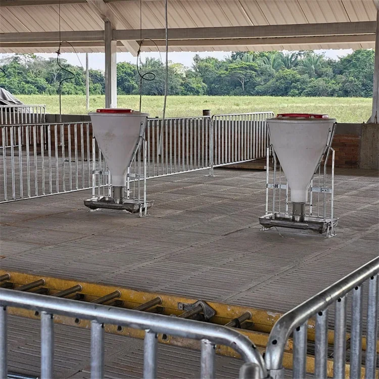 

Automatic Pig Feeders For Nurseries And Finishing Pigs