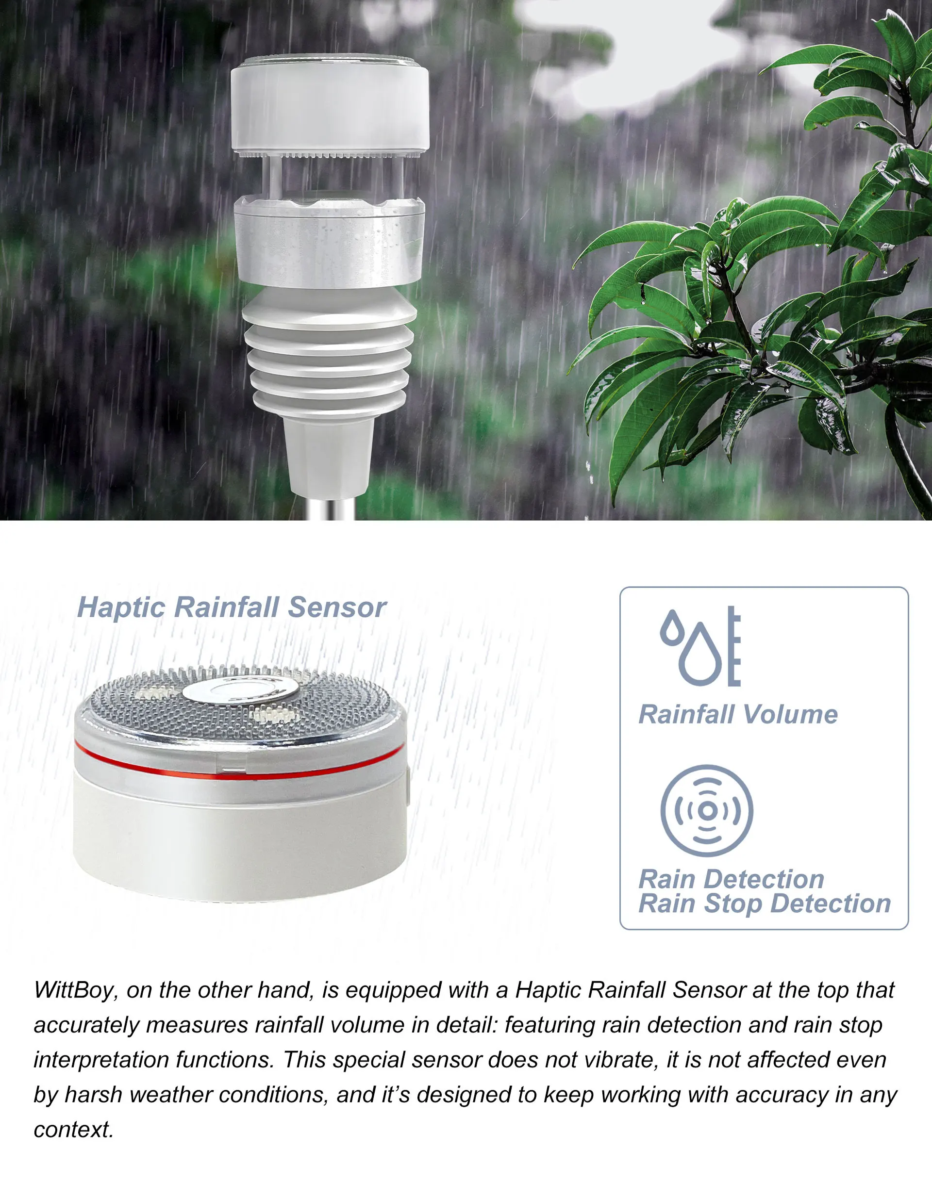 Ecowitt GW3001 Wetterstation, IoT Wi-Fi Hub mit SD-Karten-Datenspeicher, 7-in-1 Solarbetriebener Haptischer Regensensor für den Außenbereich – Detail 11