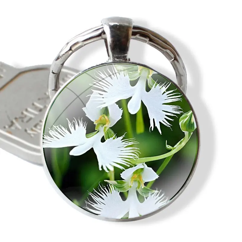 White Egret Orchid Flower Radiata 25mm Glass Cabohcon Keychain Key Rings for Women Men Jewelry Gift