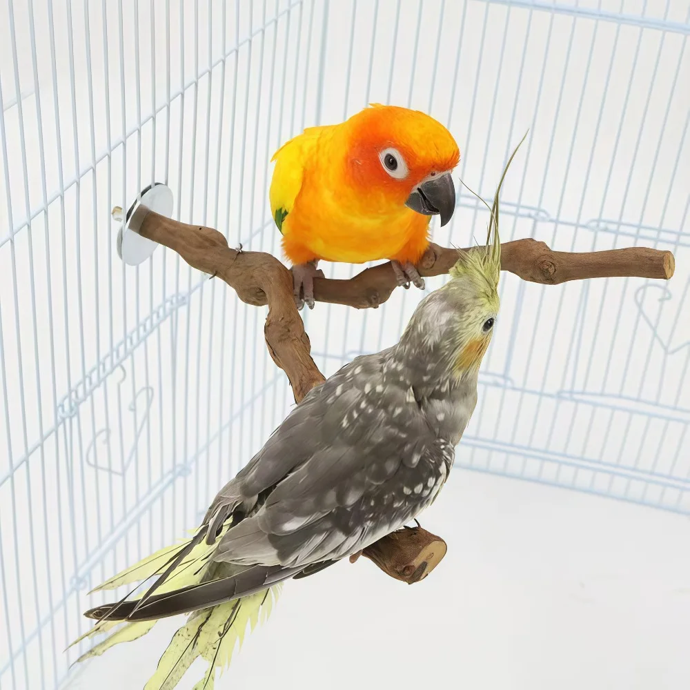 

Натуральная подставка-качели для попугаев из виноградной лозы - Многофункциональная игрушка для птиц: для жевания, заточки когтей, игр - Безопасная и устойчивая