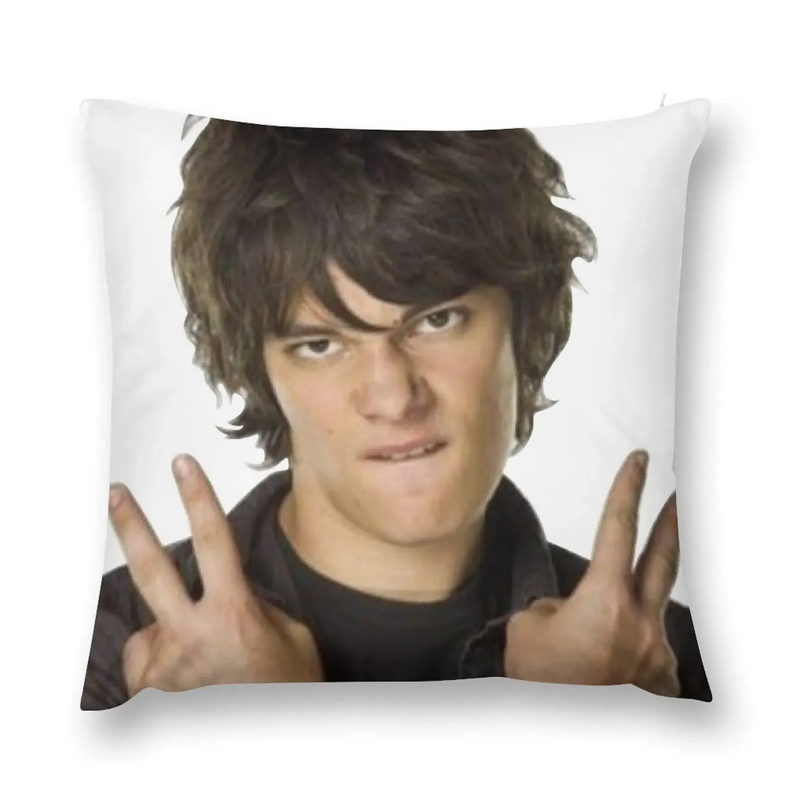 Rodrick Throw Pillow Pillow Cases Sofa Cushions Covers Decorative pillow case cover luxury