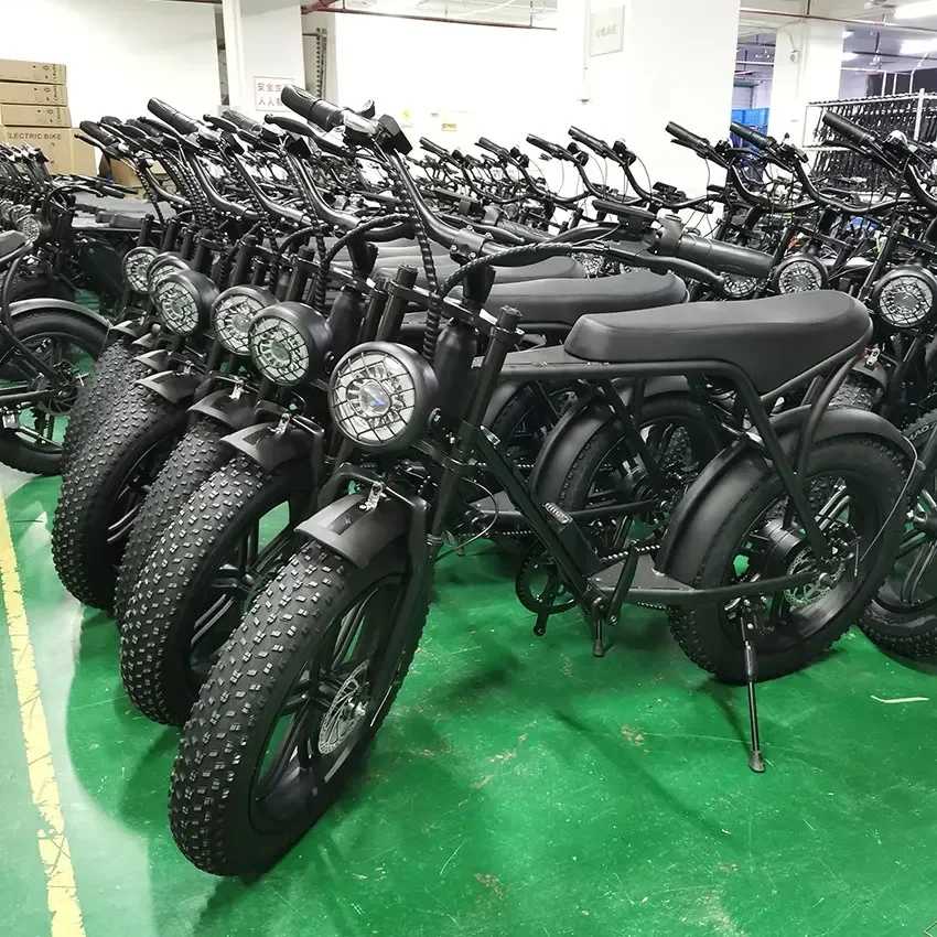 Electric Bicycle,  in Stock Fat Tire Electric Bike 20inch Off Road, E Bike Price 750W Motor 15ah Battery Beach Cruiser