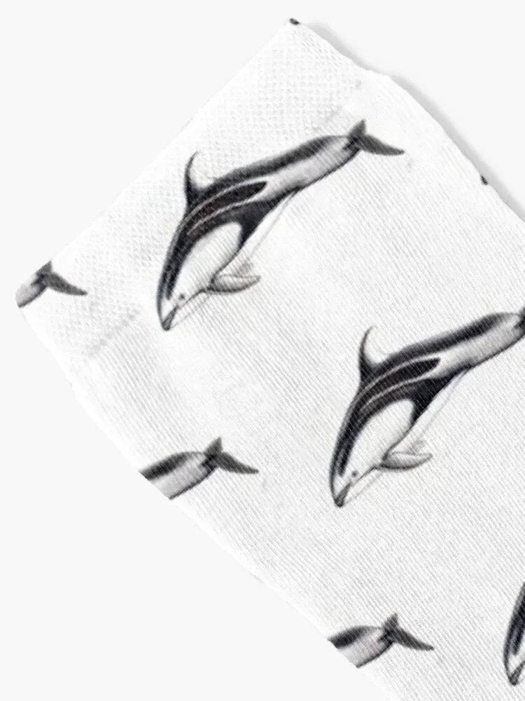 Pacific white-sided dolphin Socks retro luxury Socks Woman Men's