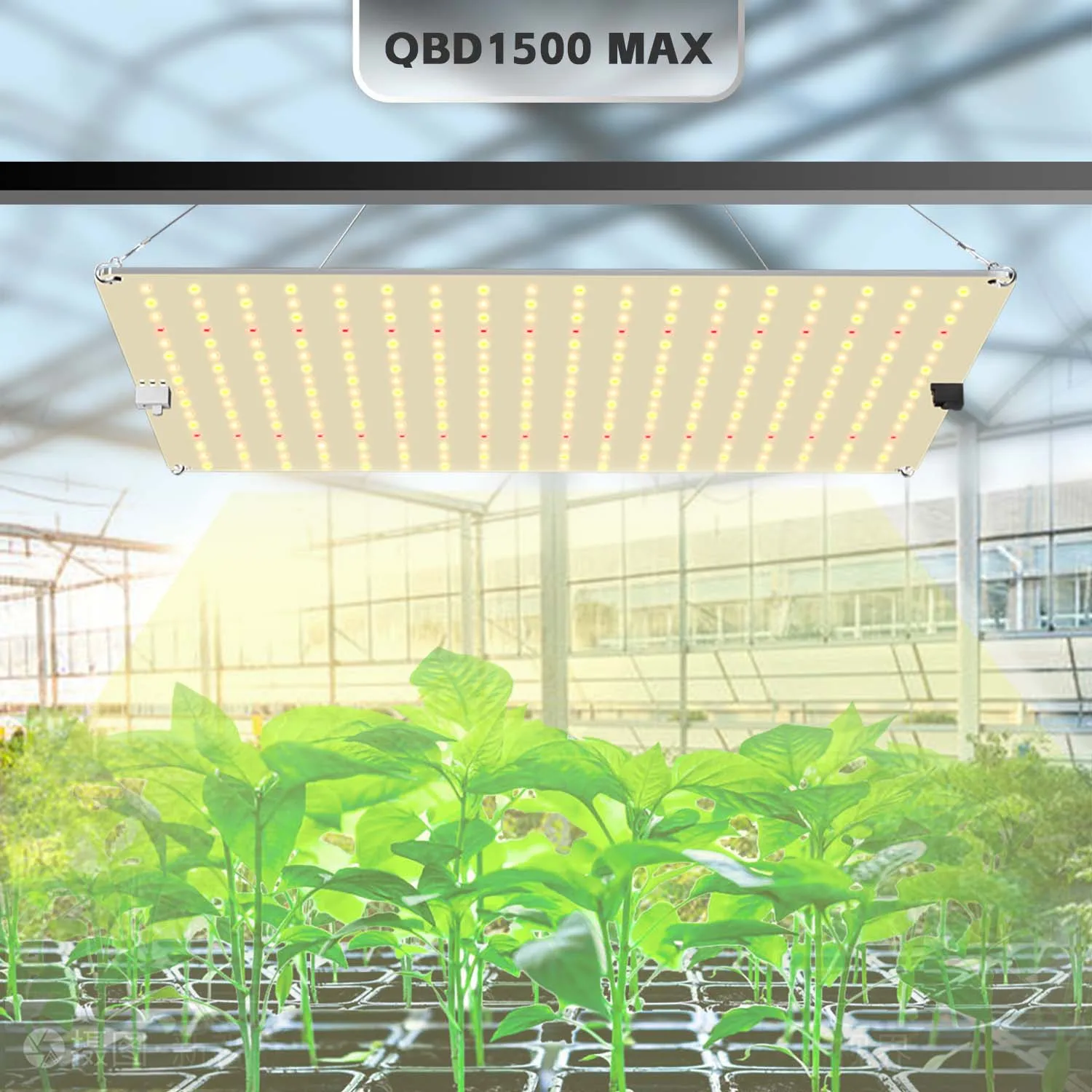 PPFD를 고려한 최고의 인공광원: LM281B LED 성장등 사용 리뷰