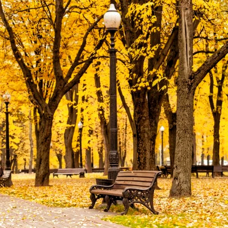 

Stimulation RF Body Slimming Machine EMTTNEO 18 Tsl Professional Muscle Growth And Fat Burning Machin