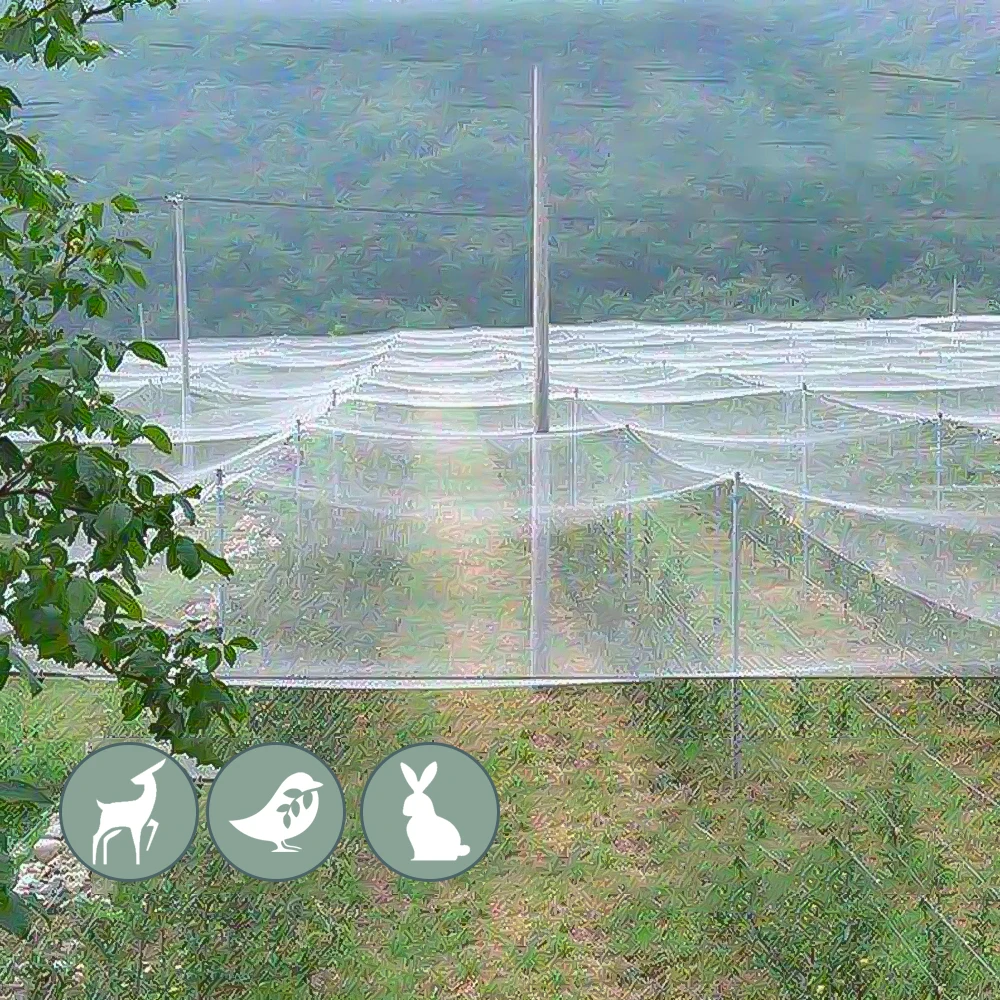 2x1-20M Heavy Duty Bird Netting Garden Plant Fruits Protective Net Agricultural Protection Fence Mesh Anti-bird Square Covers